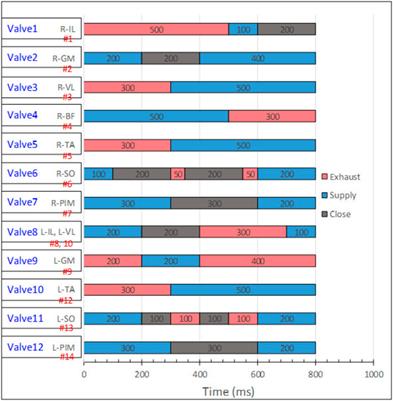 The experimental investigation of foot slip-turning motion of the musculoskeletal robot on toe joints